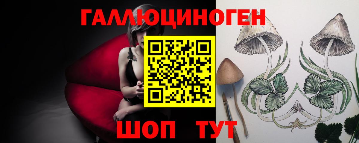 Лабытнанги  Галлюциногенные грибы Cubensis  Вход с VPN 